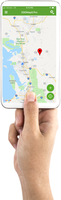 hand holding phone
