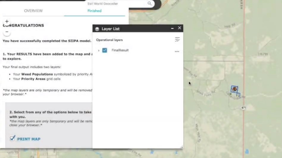 Final result of the SIIPA model