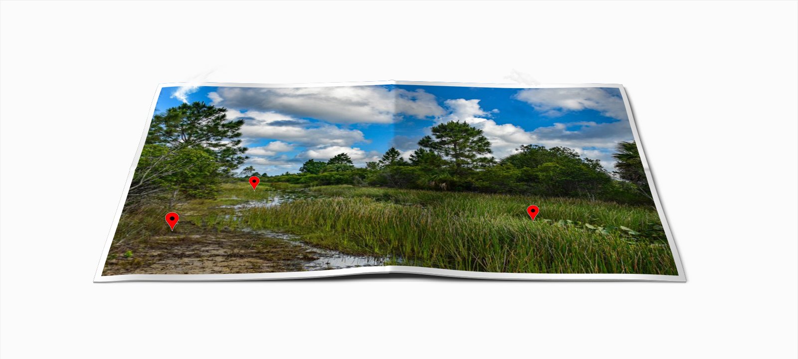 florida landscape siipa tool