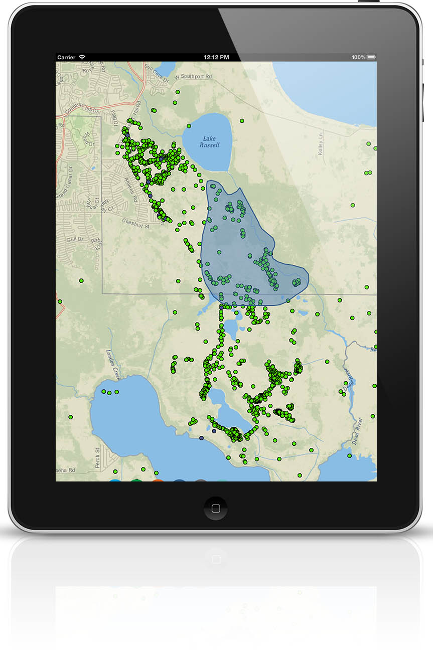 online map 