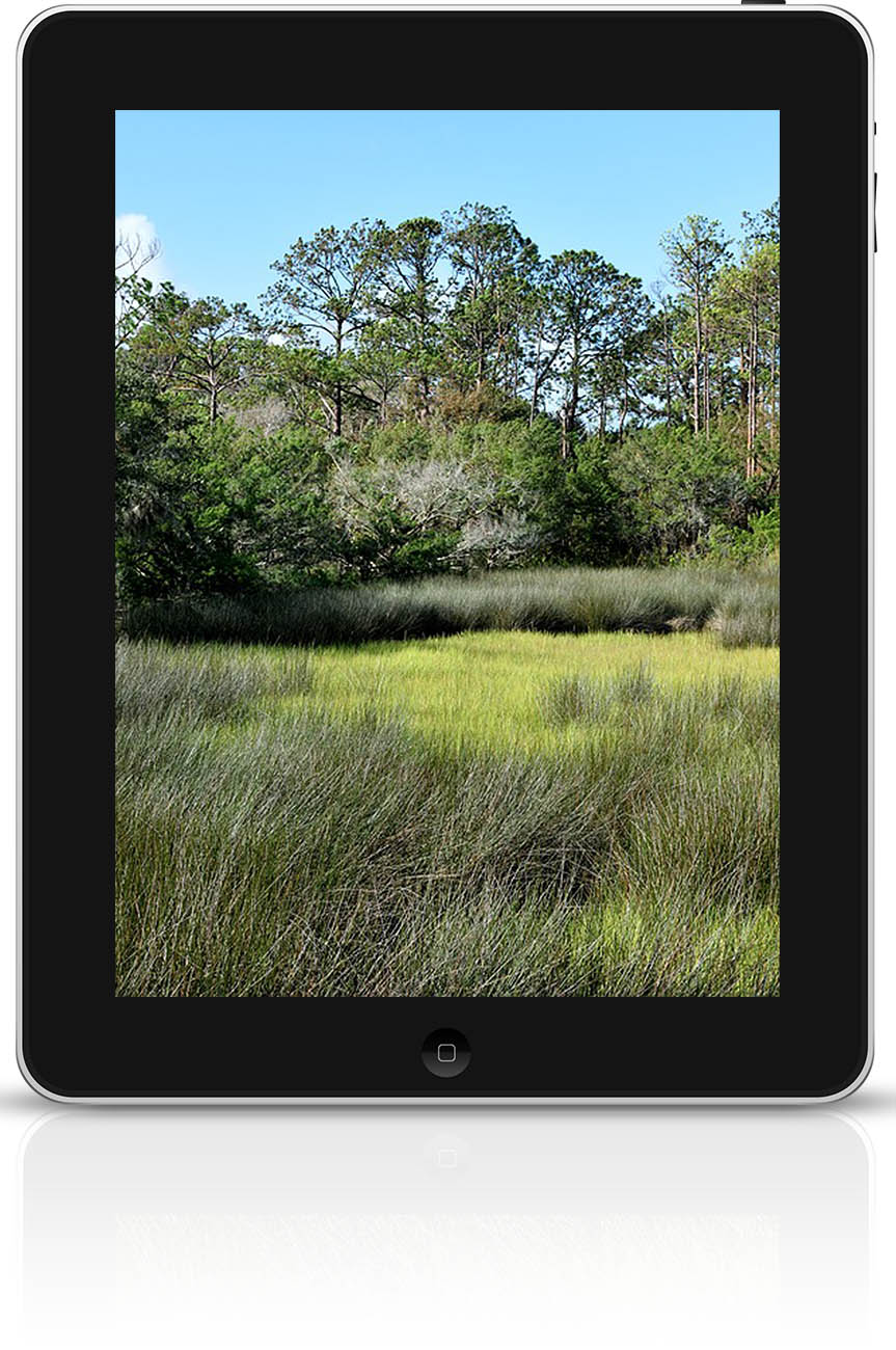eddmaps pro image
