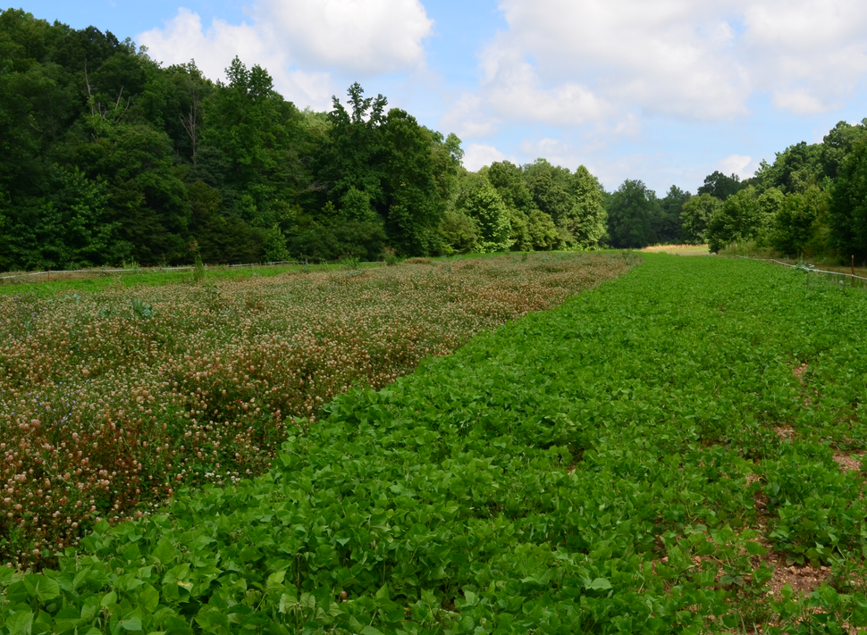 site photo